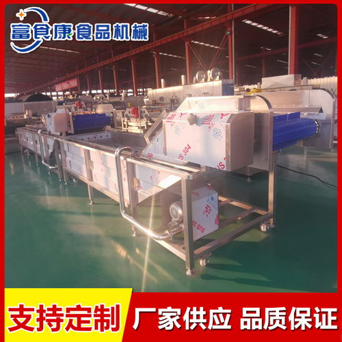 竹筍翻浪清洗機 諸城市富食康食品機械 竹筍翻浪清洗機生產商